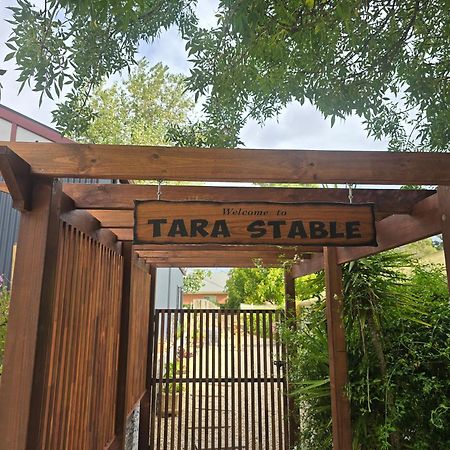 הוילה Littlehampton Tara Stables מראה חיצוני תמונה